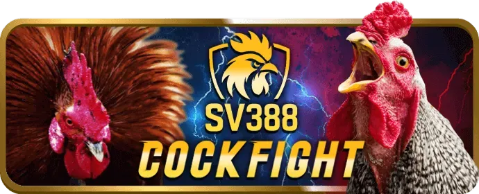 55mom ra mắt game mới